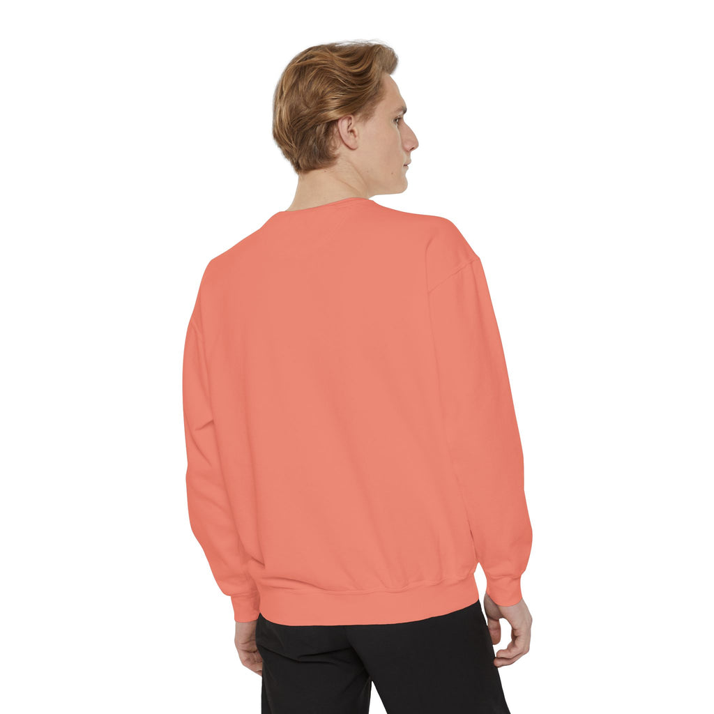 USA Sweatshirt — Patriotic American Crewneck