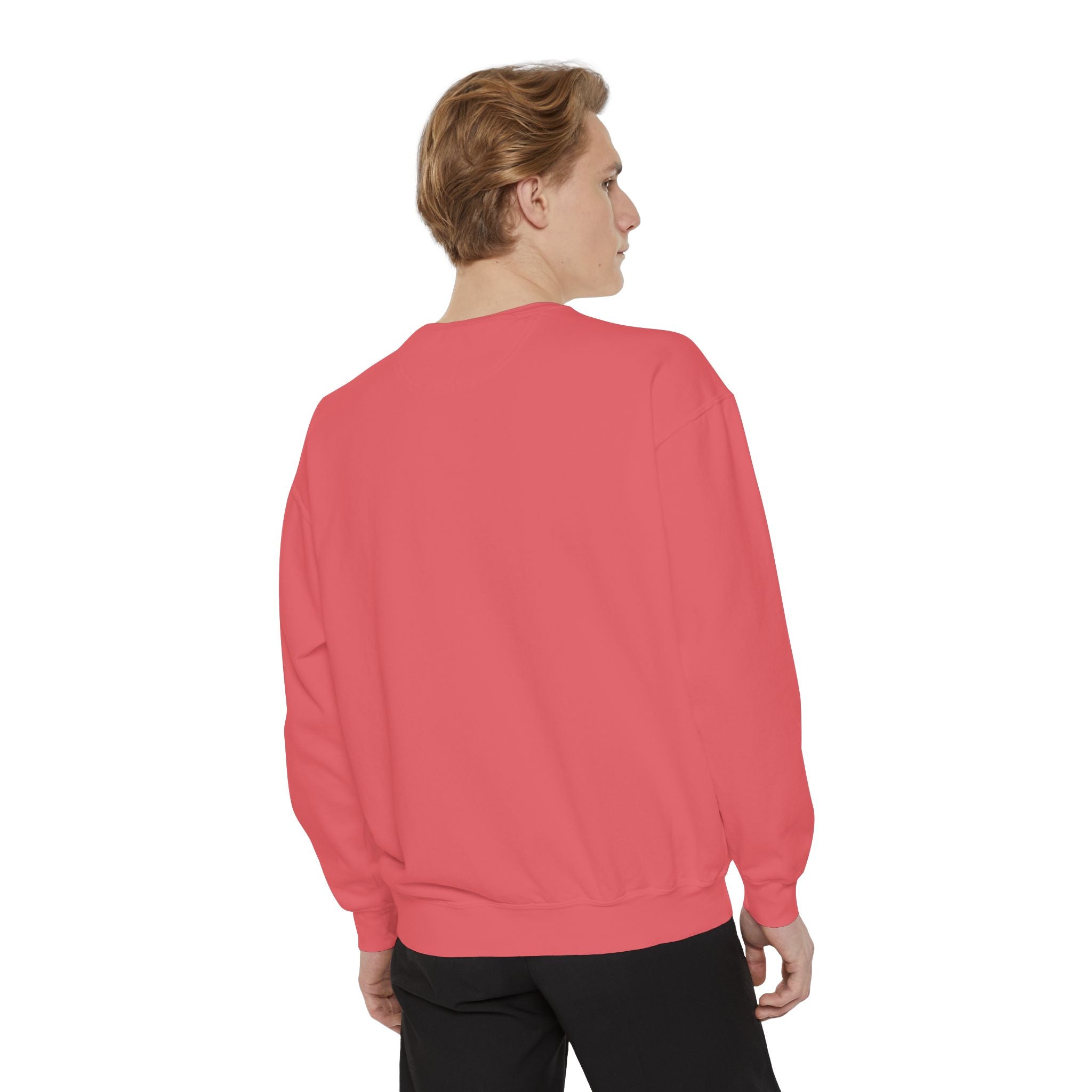 USA Sweatshirt — Patriotic American Crewneck